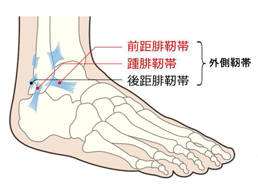 足関節不安定症