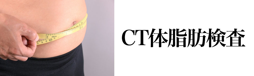 CT体脂肪検査