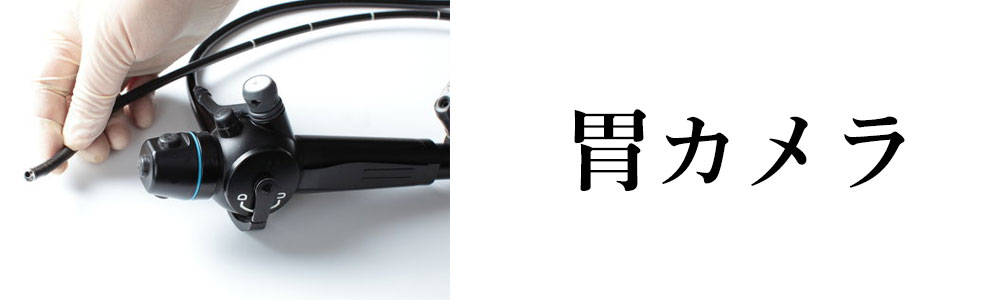 胃カメラ