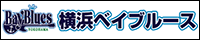 社会人硬式野球クラブチーム 横浜ベイブルース